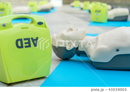 model for cpr and AED training model for cpr and AED training 43039003