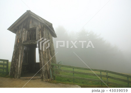 霧 草原 羊牧場 43039059
