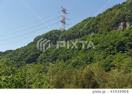群馬県　赤城町付近　利根川沿い　　河岸段丘と送電線 43039968