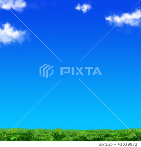 草むらと青空 草むらと青空 43039972