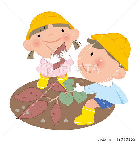 芋掘りをする幼稚園児 のイラスト素材