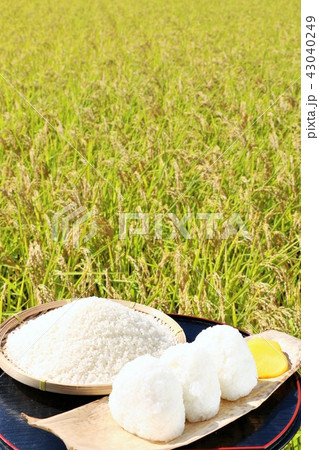 秋の田んぼと美味しそうな新米のおにぎりの写真素材