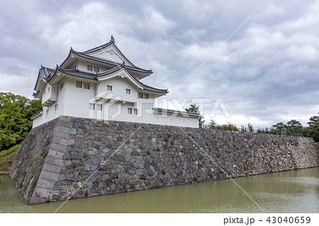 駿府城の城郭のうち中堀の内側の旧本丸二の丸が整備された駿府城公園巽櫓東御門が伝統工法で復元資料館公開 駿府城の城郭のうち中堀の内側の旧本丸二の丸が整備された駿府城公園巽櫓東御門が伝統工法で復元資料館公開 43040659
