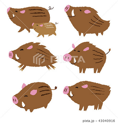 猪のイラスト 亥年 年賀状素材 干支動物のイラスト素材