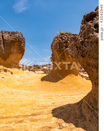 台湾 野柳地質公園 43040940
