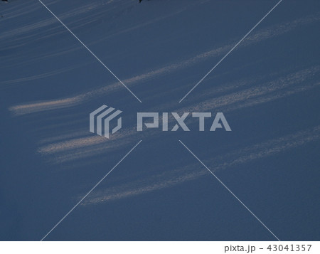 青い雪景色 43041357