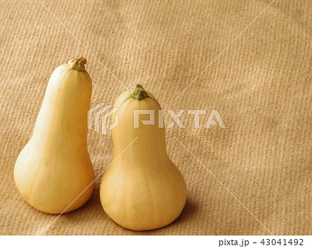 ひょうたんかぼちゃ 43041492