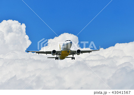 着陸中の旅客機 43041567