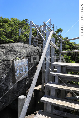 夢の庭園　大弛峠 43041625