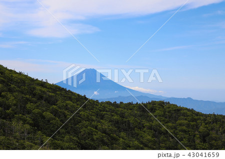 国師ヶ岳から望む富士山 大弛峠~国師ヶ岳 国師ヶ岳から望む富士山 大弛峠~国師ヶ岳 43041659