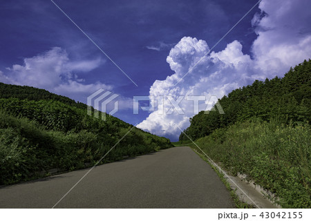 山道と入道雲02 43042155