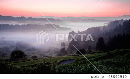 星峠の棚田 (朝景) 星峠の棚田 (朝景) 43042910