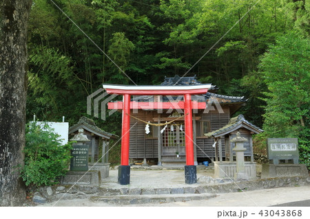 七社神社 七社神社 43043868