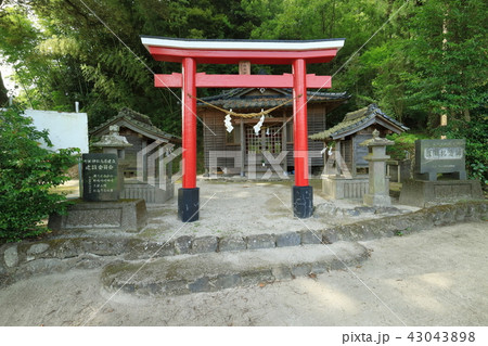 七社神社 七社神社 43043898
