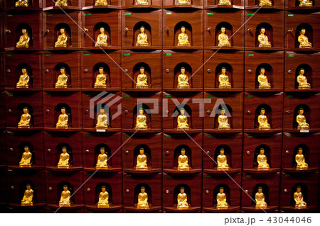 建築 京畿道 キョンギド 43044046