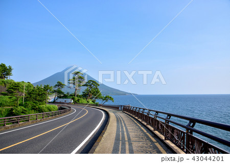 瀬平公園からの開聞岳 鹿児島県南九州市頴娃町 瀬平公園からの開聞岳 鹿児島県南九州市頴娃町 43044201