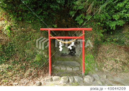 七社神社 七社神社 43044209