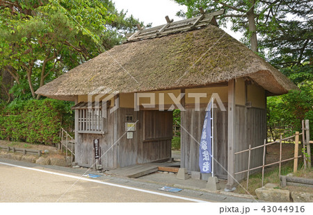 新潟県・村上散歩:若林家住宅 新潟県・村上散歩:若林家住宅 43044916