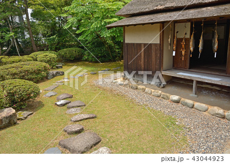 新潟県・村上散歩:若林家住宅 新潟県・村上散歩:若林家住宅 43044923
