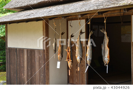 新潟県・村上散歩：若林家住宅 43044926