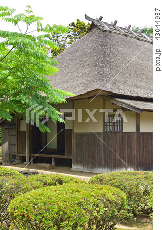 新潟県・村上散歩:若林家住宅 新潟県・村上散歩:若林家住宅 43044937