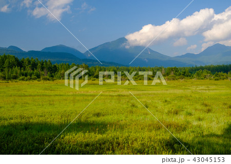 小田代ヶ原 43045153