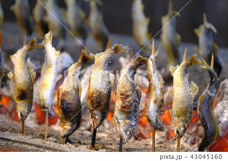 鮎の塩焼き 43045160