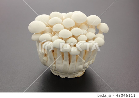 白ぶなしめじ 43046111