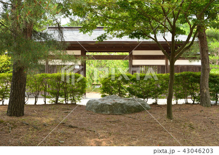 新潟県・村上散歩:まいづる公園 新潟県・村上散歩:まいづる公園 43046203