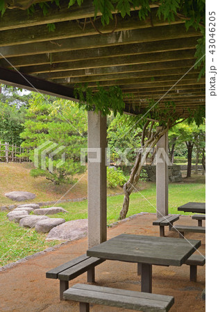 新潟県・村上散歩：まいづる公園 43046205