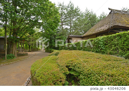 新潟県・村上散歩：まいづる公園 43046206