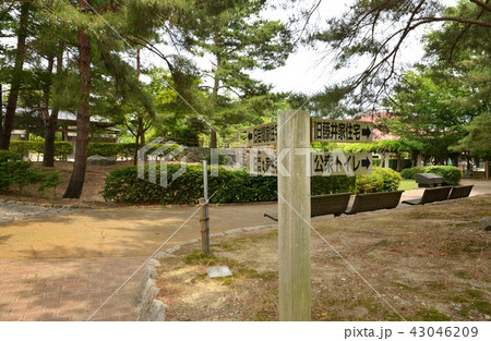 新潟県・村上散歩：まいづる公園 43046209