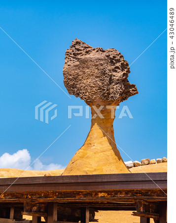 台湾 新北市 野柳地質公園 43046489