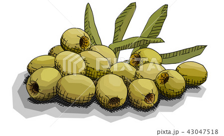 Graphic arts sketch of drawing olives. 43047518