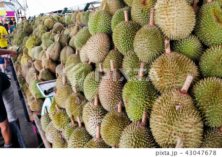 Durian displayed and sold in Malaysia stall Durian displayed and sold in Malaysia stall 43047678
