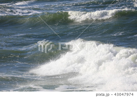 日本海の荒波(ワッカケ岬付近 日本海の荒波(ワッカケ岬付近 43047974