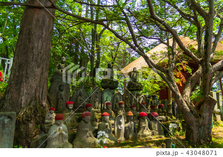 草津温泉 43048071