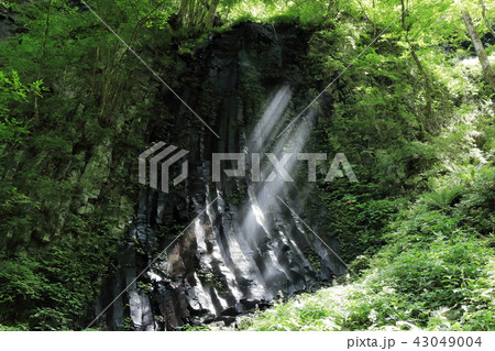 スッカン沢　雄飛の滝遊歩道終点で見られる柱状節理と伏流瀑 43049004