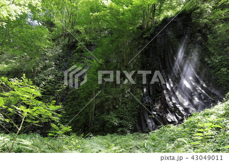 スッカン沢　雄飛の滝遊歩道終点で見られる柱状節理と伏流瀑 43049011