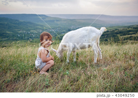 baby boy in clothes playing in the field 43049250