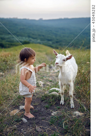 baby boy in clothes playing in the field 43049282
