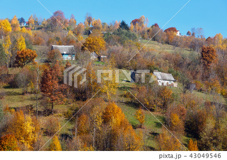 Autumn Carpathian mountains (Ukraine). Autumn Carpathian mountains (Ukraine). 43049546