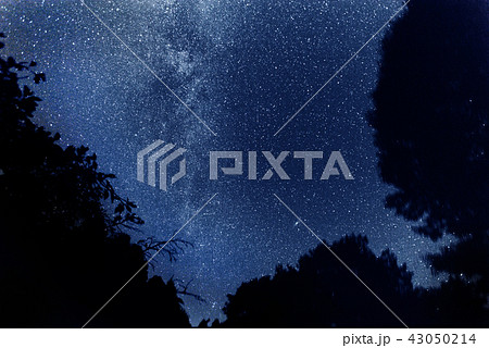 秋の天の川 43050214