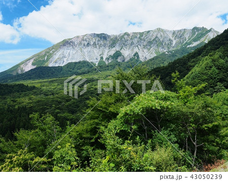 夏の大山 鍵掛峠からの眺望 大山 夏の大山 鍵掛峠からの眺望 大山 43050239