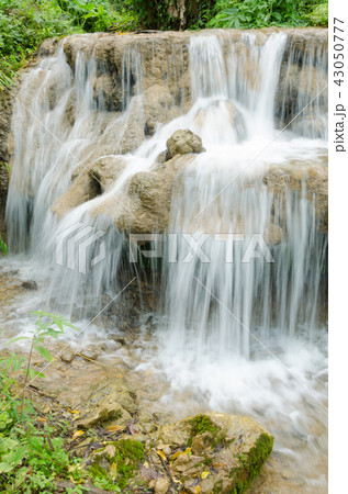 small waterfall in green nature park small waterfall in green nature park 43050777