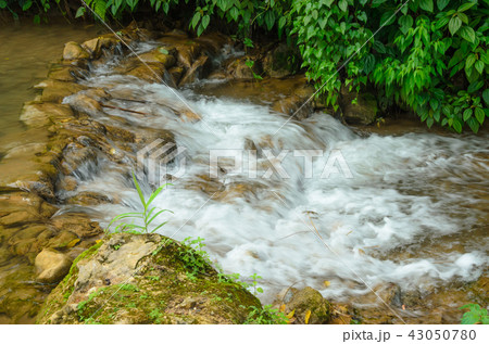 small waterfall in green nature park small waterfall in green nature park 43050780