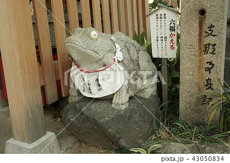 尼崎えびす神社 尼崎えびす神社 43050834