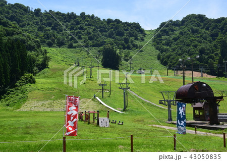 夏の白山一里野温泉スキー場 夏の白山一里野温泉スキー場 43050835