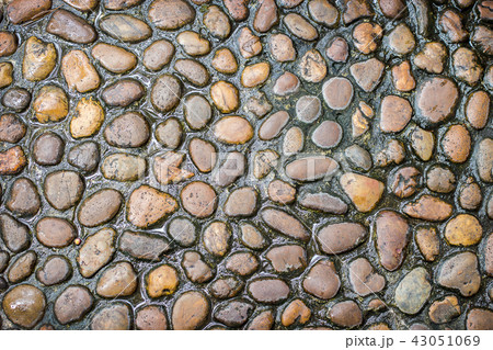 wet stone and cement walk way texture in garden 43051069