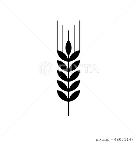 Wheat sign illustration. Spike. Spica. Vector. Filled black icon Wheat sign illustration. Spike. Spica. Vector. Filled black icon 43051147